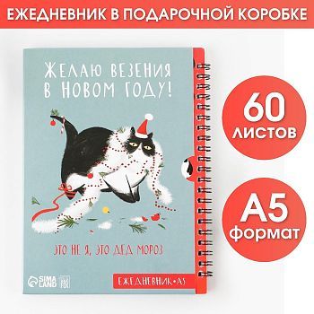 Ежедневник в подарочной коробке «Это не я, это дед мороз», А5, 60 листов, на гребне