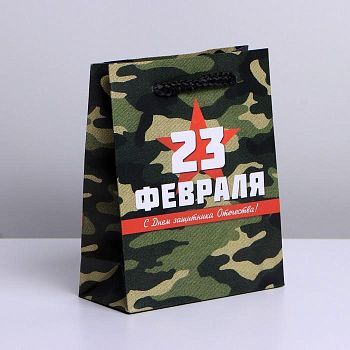 Пакет ламинированный вертикальный «Хакки», S 12 × 15 × 5,5 см