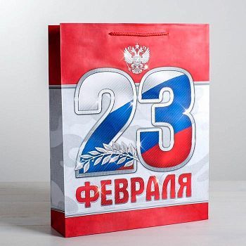 Пакет ламинированный вертикальный «23 февраля!», ML 23 × 27 × 11,5 см