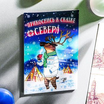 Магнит двусторонний «Север»