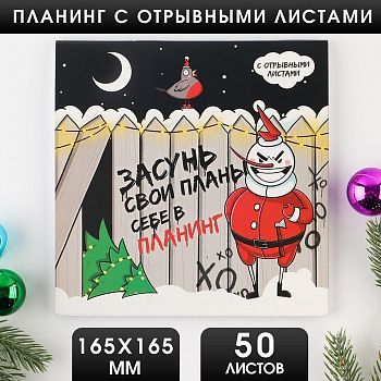 Планинг квадратный с отрывными листами, 50 листов «Засунь свои планы себе в планинг»