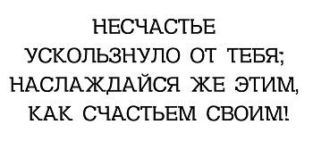 Кружка-мотиватор "Несчастье ускользнуло от тебя; наслаждайся же этим, как счастьем своим!"